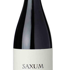 Saxum JBV Bot