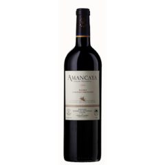 Bodegas Caro 2014 Amancaya