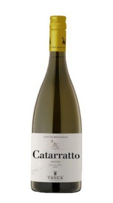 catarratto-antisa
