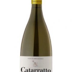 catarratto-antisa