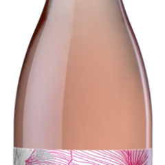 Rodney Strong 2017 Rosé of Pinot Noir