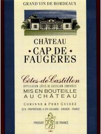 Chateau Cap de Faugeres 2020 Cotes de Bordeaux Castillon