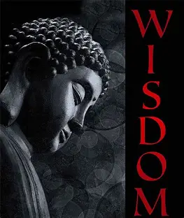 B. Wise Vineyards 2019 Wisdom Red Moon Mountain District