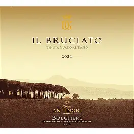 Guado al Tasso 2024 il Bruciato Bolgheri Rosso