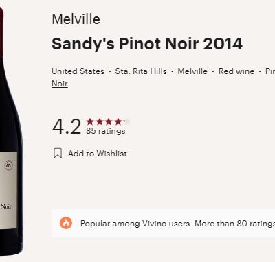 melville sandy vivino