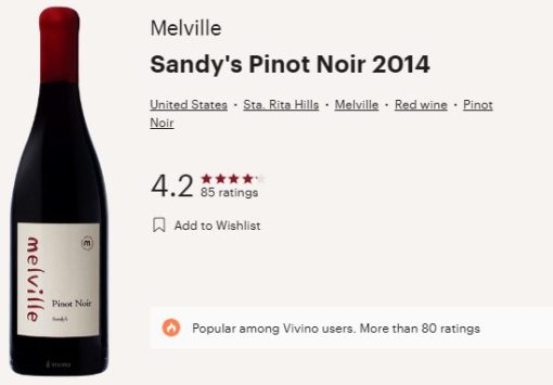 melville sandy vivino