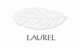 Clos i Terrasses Clos Erasmus 2017 Laurel