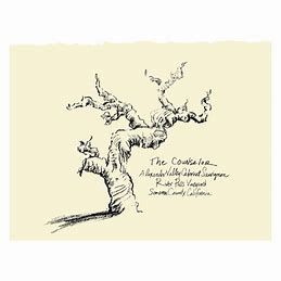 The Counselor 2022 River Pass Vineyard Cabernet Sauvignon