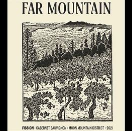 Far Mountain 2020 Fission Cabernet Sauvignon