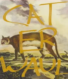 Caterwaul 2022 Cabernet Sauvignon Napa Valley