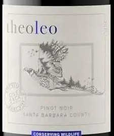 Theoleo 2023 Pinot Noir